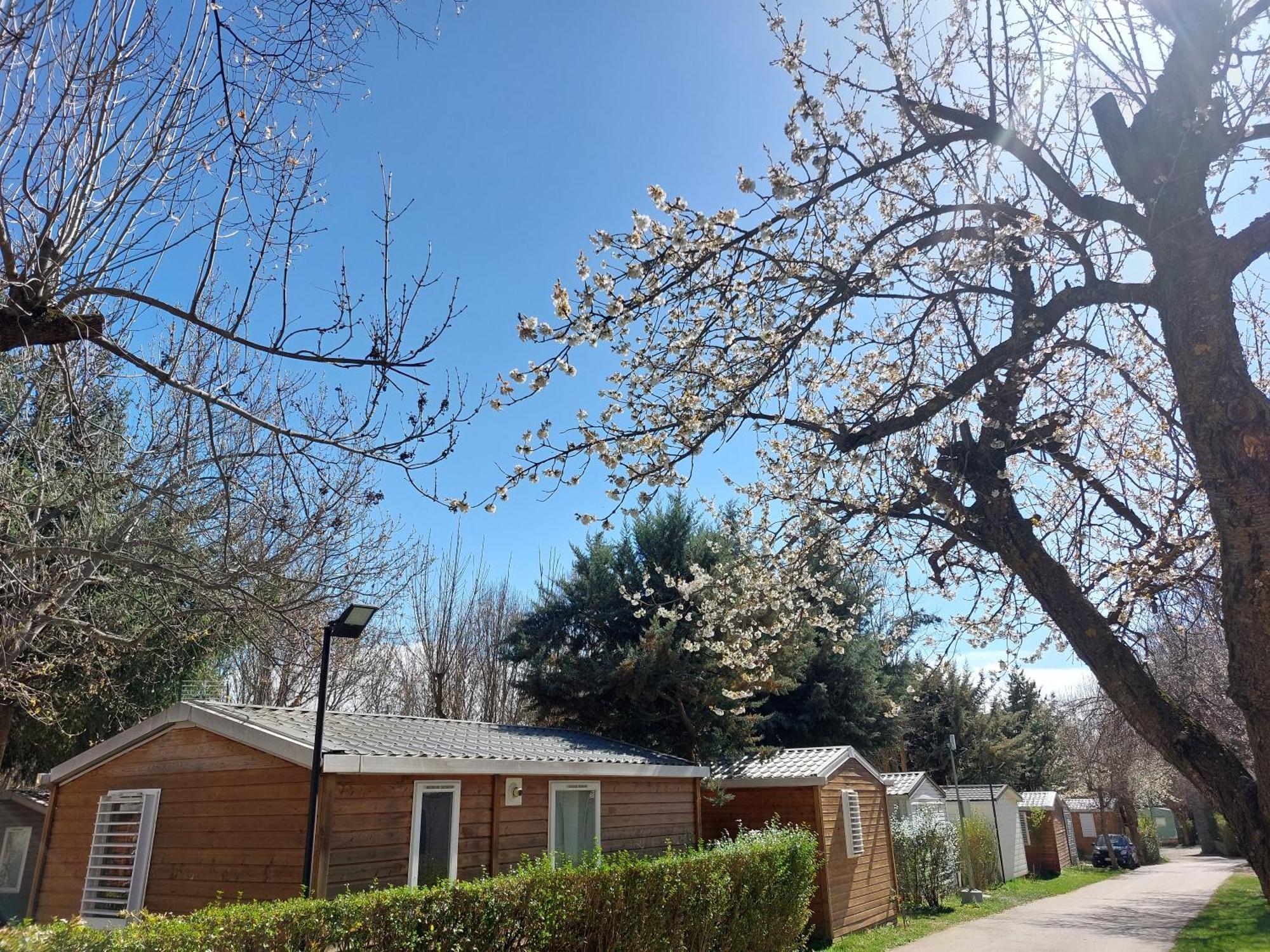 Camping L'Enclave Mobil-Home Estavar Bagian luar foto